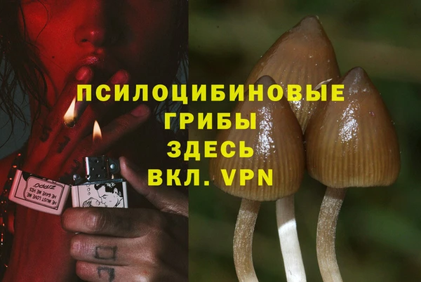 меф Балахна